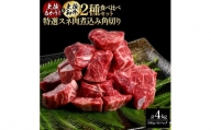土佐あかうし＆土佐和牛2種食べ比べ　特選スネ肉煮込み角切り約500g　計8パック　約4kg