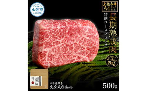 土佐和牛 特選ロースブロック500g 田野屋銀象完全天日塩1P付き 長期熟成肉 1351380 - 高知県土佐市