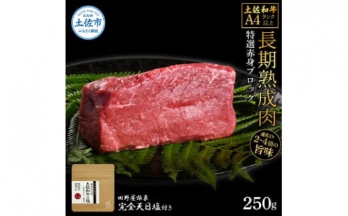 土佐和牛 特選赤身ブロック250g 田野屋銀象完全天日塩1P付き 長期熟成肉 田野屋銀象 完全天日塩付き 赤身 牛肉 ブロック 肉 お肉 和牛 国産 牛 熟成肉 ブロック肉 豪華 贅沢 真空パック 1351395 - 高知県土佐市