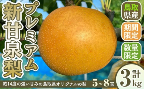 ＜8月下旬～11月上旬発送予定＞＜数量限定＞こばやし農園プレミアム新甘泉梨(計3kg・5～8玉)【sm-CK006】【こばやし農園】
