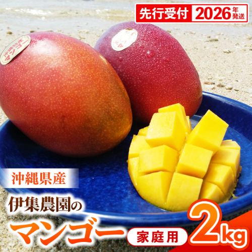 【先行受付】【2026年発送】伊集農園 沖縄県産マンゴー ご家庭用 約2kg - 先行予約 沖縄 産地直送 南国フルーツ 旬の味覚 家庭用 2キロ オススメ 沖縄県 八重瀬町 1351675 - 沖縄県八重瀬町