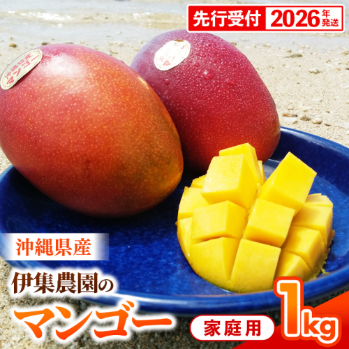 【先行受付】【2026年発送】伊集農園 沖縄県産マンゴー ご家庭用 約1kg - 先行予約 沖縄 産地直送 南国フルーツ 旬の味覚 家庭用 1キロ オススメ 沖縄県 八重瀬町 1351719 - 沖縄県八重瀬町