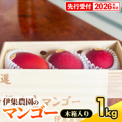 【木箱入】【先行受付・2026年発送】伊集農園 沖縄県産マンゴー（贈答用木箱）約1kg - 先行予約 沖縄 産地直送 南国フルーツ 旬の味覚 旬のフルーツ 贈り物 ギフト 沖縄県 八重瀬町 1351720 - 沖縄県八重瀬町