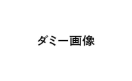 有田みかん【特秀品Ｍ～Ｌ、高糖度】約10kg！2024年10月以降順次発送【NGT4】