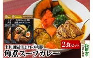 桃豚角煮スープカレー（1食分）×2個