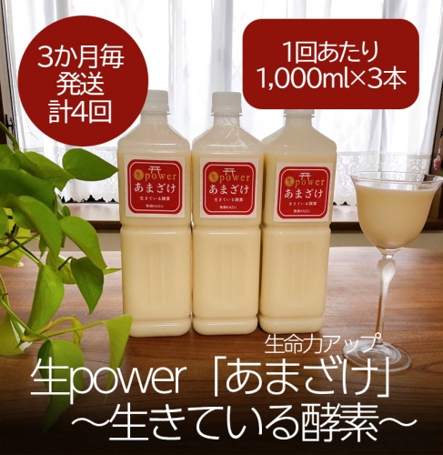 DV137_生命力アップ 生 power「あまざけ」 ～生きている酵素～【3本セット】3か月毎(全4回) 1351974 - 佐賀県みやき町