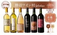 勝沼ワイン村 おまかせワイン（赤・白）6本セット（KWV）F7-620