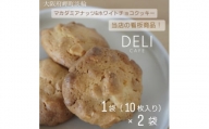 マカダミアナッツ&ホワイトチョコクッキー[2袋(10枚入り×2)]【1495399】