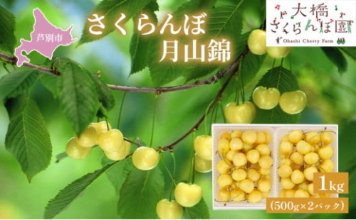 【先行受付】さくらんぼ 月山錦1kg（500g×2パック）最高級 サクランボ 贈り物 ギフト 黄 希少 3L 大 [№5342-0283] 1352125 - 北海道芦別市