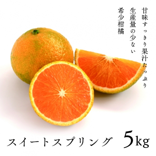 14-01_希少柑橘「スイートスプリング」5kg【先行受付】