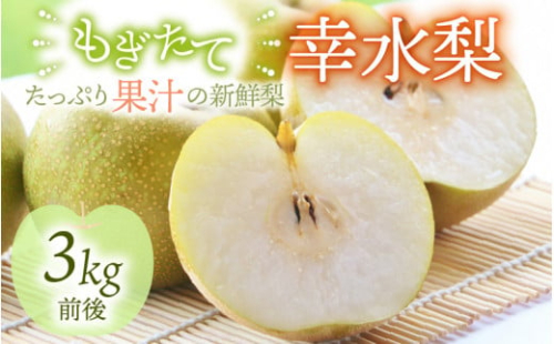 【先行予約】【幸水梨】3kg前後 (5~8個) たっぷりの果汁を含んだジューシーな梨！【2025年8月上旬以降順次発送予定】【梨 なし 和梨 先行予約 フルーツ 甘い みずみずしい 果実 果物 新鮮 お土産 贈り物 旬の果物】 [A-15007]