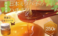 岐阜県産 日本ミツバチのハチミツ 250g F6M-070
