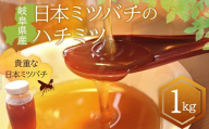 岐阜県産 日本ミツバチのハチミツ 1kg F6M-071