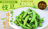 枝豆 湯あがり娘 約1.6kg （約200g×8袋） 【2026年6月下旬～7月下旬まで順次発送予定】｜ 野菜 豆 えだまめ おつまみ おやつ 旬 旬の野菜 旬の食材 国産 小分け 個包装 静岡 静岡県産 静岡県 菊川市
