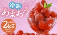 冷凍 あまおう 約2kg 約500g×4パック いちご 苺 イチゴ 果物 フルーツ 福岡県産