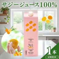 【定期便2カ月】サジー グアマラルサジー 1000ml　毎月1本2カ月コース｜ サジージュース 定期便 サジー シーベリー 沙棘 グアマラル 健康ドリンク ドリンク ジュース 健康 美容 栄養 果汁 鉄分補給 栄養補給 健康食品  贈答 贈り物 プレゼント ギフト 茨城県 古河市 送料無料 _DX18