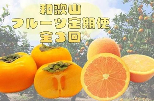 〈定期便〉【10・11・12月 全3回】和歌山人気のフルーツ定期便（柿・みかん）【魚鶴商店厳選】 1352802 - 和歌山県美浜町