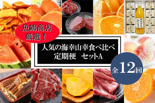 〈毎月定期便〉人気の海幸山幸食べ比べ セットA 【定期便全12回】【魚鶴厳選】◆ 1352815 - 和歌山県美浜町