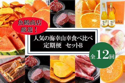 〈毎月定期便〉人気の海幸山幸食べ比べ セットB 【定期便全12回】【魚鶴厳選】◆ 1352823 - 和歌山県美浜町