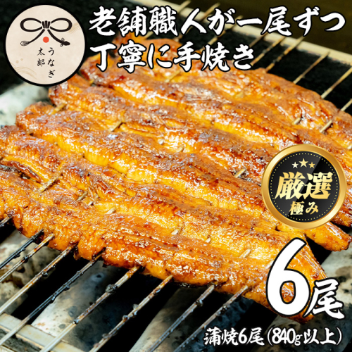 【0783712a】鹿児島県産東串良町のうなぎ蒲焼(6尾・計840g以上・秘伝のタレ付き)うなぎ 高級 ウナギ 鰻 国産 蒲焼 蒲焼き たれ 鹿児島【うなぎ太郎】 135282 - 鹿児島県東串良町