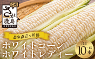 佐賀県鹿島市産 [かなり甘い] とうもろこし ホワイトコーン ホワイトレディー