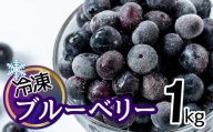 シャーベット感覚！四万十町産【冷凍】ブルーベリー1㎏ Cvs-B05 冷凍 国産 フルーツ 果物