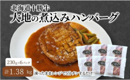 凍ったままレンジで５分チンするだけ！十勝産牛肉100％のビーフハンバーグ！ソースと付合せ野菜も入ってこれだけで主菜になる！ふるさと納税返礼品累計出荷数７０万食の「十勝牛ハンバーグ」を、電子レンジで温め