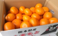 みかん 5kg サイズ2L～2S 蜜柑 ミカン フルーツ 果物 くだもの 柑橘 熊本産 九州産【2024年10月下旬～2025年2月下旬発送開始】