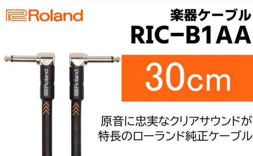 【Roland純正】楽器ケーブル 30cm/RIC-B1AA【配送不可：離島】  1353559 - 静岡県浜松市