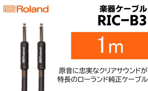 【Roland純正】楽器ケーブル 1m/RIC-B3【配送不可：離島】  1353560 - 静岡県浜松市