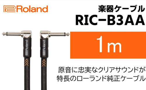 【Roland純正】楽器ケーブル 1m/RIC-B3AA【配送不可：離島】  1353561 - 静岡県浜松市