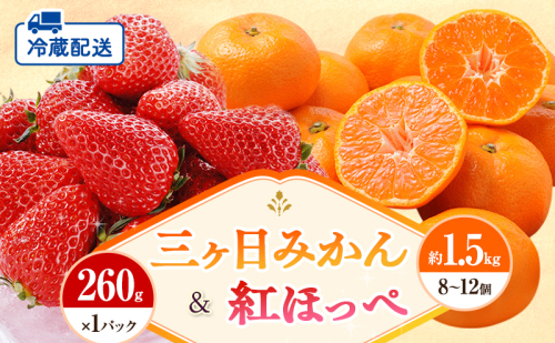 【2026年1月中旬より順次発送】 フルーツセット 紅ほっぺ 1パック 三ヶ日みかん 1.5kg セット 詰め合わせ 青島みかん みかん いちご 苺 果物 旬のフルーツ 旬の果物 静岡 静岡県 浜松市 【配送不可：離島】 1353563 - 静岡県浜松市