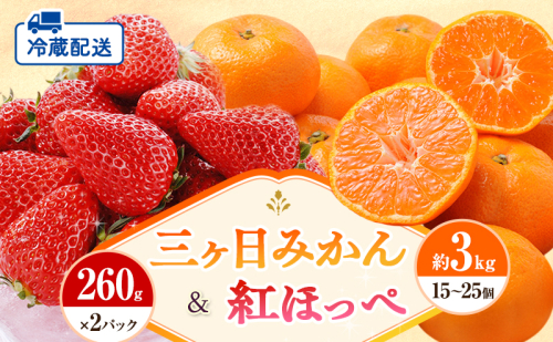【2026年1月中旬より順次発送】 フルーツセット 紅ほっぺ 2パック 三ヶ日みかん 3kg セット 詰め合わせ 青島みかん みかん 蜜柑 いちご 苺 果物 旬のフルーツ 静岡 静岡県 浜松市 【配送不可：離島】 1353564 - 静岡県浜松市