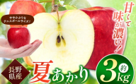 【夏あかり3ｋｇ】夏りんごの革命児。甘くて硬い味の濃いりんご、夏あかり約3ｋｇ 信州長野県産 | 夏あかり りんご リンゴ 林檎 フルーツ 果物 くだもの