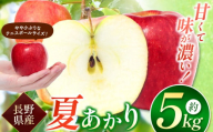 【夏あかり5ｋｇ】夏りんごの革命児。甘くて硬い味の濃いりんご、夏あかり約5ｋｇ 信州長野県産 | 夏あかり りんご リンゴ 林檎 フルーツ 果物 くだもの