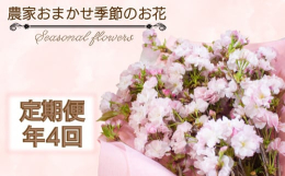 下関の生産農家から季節のお花をお届けします。どんなお花が届くかを楽しみにしてください。最近では、季節の花木なども獣害被害に苦労しています。ただ季節感のある花は、四季のある日本にとってとても大事な花だと