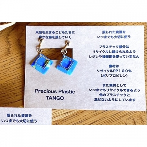 Precious Plastic イヤリング
 1353881 - 京都府京丹後市
