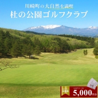 杜の公園ゴルフクラブ　ゴルフ利用券 5,000円分　【04324-0291】