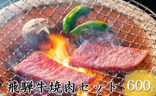 飛騨牛焼肉セット600g（5等級・冷凍） 135409 - 岐阜県輪之内町