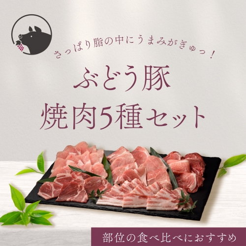 22-25_綾ぶどう豚焼肉・バーベキュー食べ比べセット