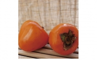 みさき果樹園のとろけてあま～いジャンボな柿「富士柿5kg」＜C21-23＞【1503862】