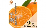JAにしうわの季節の柑橘(日の丸共選 「千兩」 約2.5kg)＜C08-77＞【1510452】