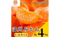 JAにしうわの季節の柑橘　温州みかん約4kg(S～2Lサイズ)＜C08-79＞【1510454】