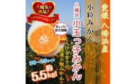 2024年11月発送開始　小粒・濃厚な味わい!!「八幡浜小玉っ子みかん」約5.5kg＜C39-59＞【1512462】