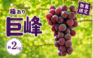 巨峰 約2kg 種あり / ぶどう ブドウ 葡萄 数量限定 フルーツ 果物 くだもの 国産 奈良県産 産地直送 旬の果物 大容量 甘い 濃厚 ジューシー お取り寄せ 人気 おすすめ ギフト 贈答 プレゼント 家庭用 デザート 季節限定 期間限定 秋の味覚 旬の味覚 国産ぶどう 奈良ぶどう 果汁たっぷり 高級ぶどう 新鮮 産直 ご褒美 お祝い 敬老の日 奈良県 御所市[simo0001]