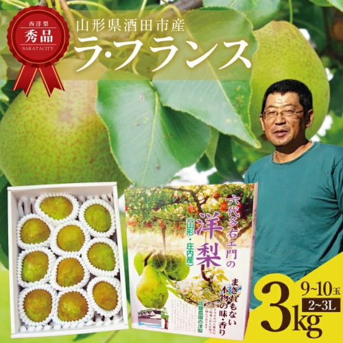 SA2351　六代多右エ門　西洋梨 ラ・フランス 秀品　約3kg(9～10玉) 2L～3Lサイズ 化粧箱入 135460 - 山形県酒田市