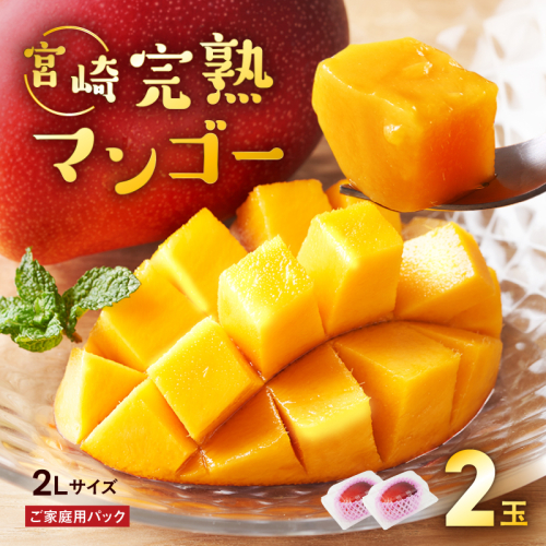 【数量限定】希少 完熟マンゴー ２L×２玉（パック） 13547 - 宮崎県綾町
