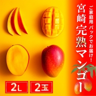 完熟 マンゴー 2Lサイズ 2玉 先行受付 （14-24）