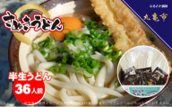 [讃岐うどん 半生うどんつゆ付36人前]さぬきうどんが自宅で簡単15分