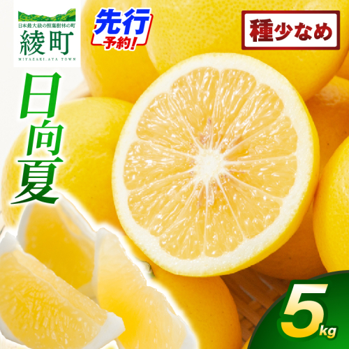 【先行予約】初春の旬 日向夏 種が少ない 5kg【JA綾町】_A0114-243 13550 - 宮崎県綾町